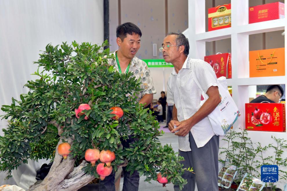奔驰宝马在线游戏网址